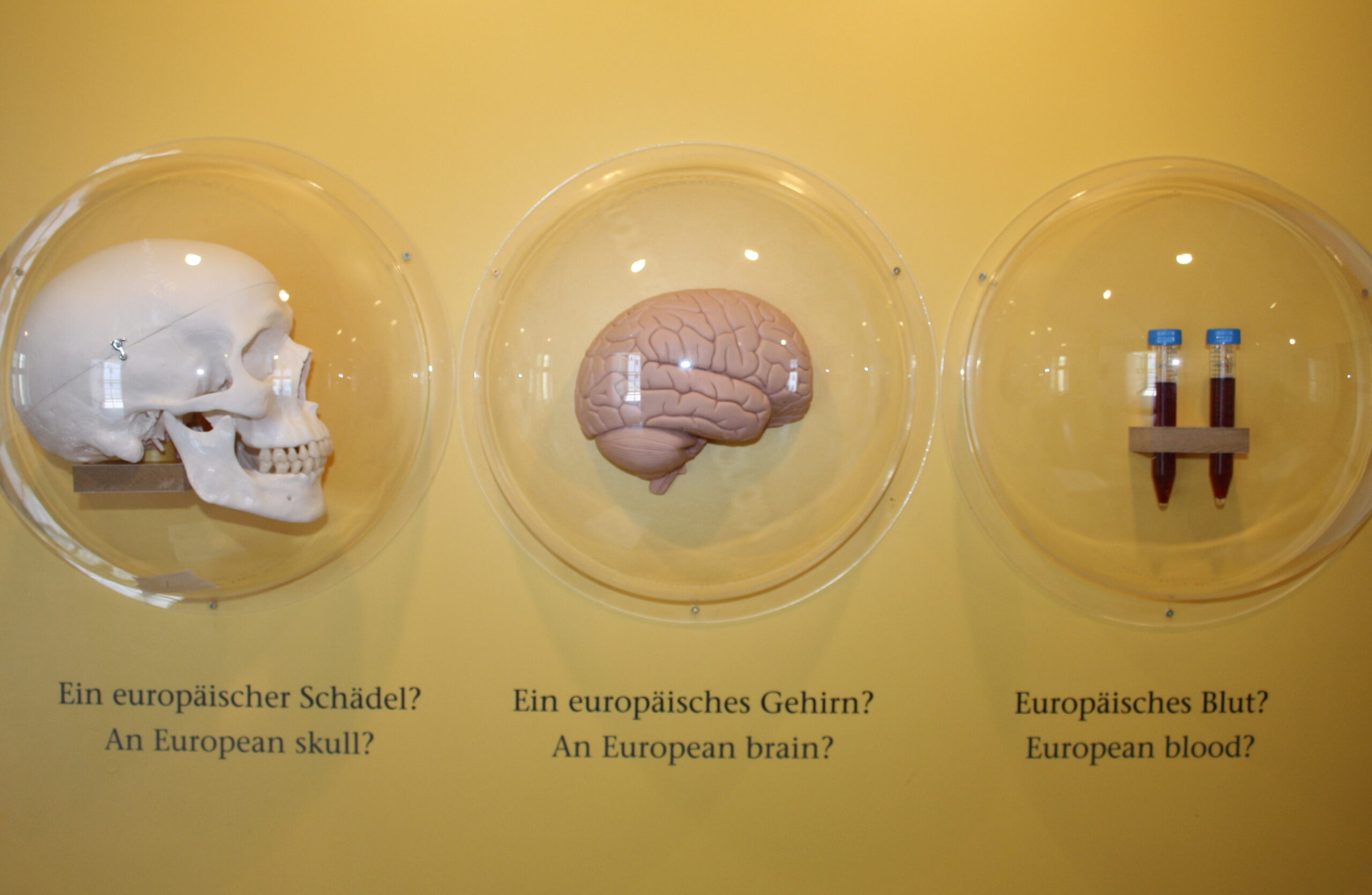 Ausstellung „Die Erfindung des Europäers“, Berlin, 2009, Fotos: Frauke Stuhl